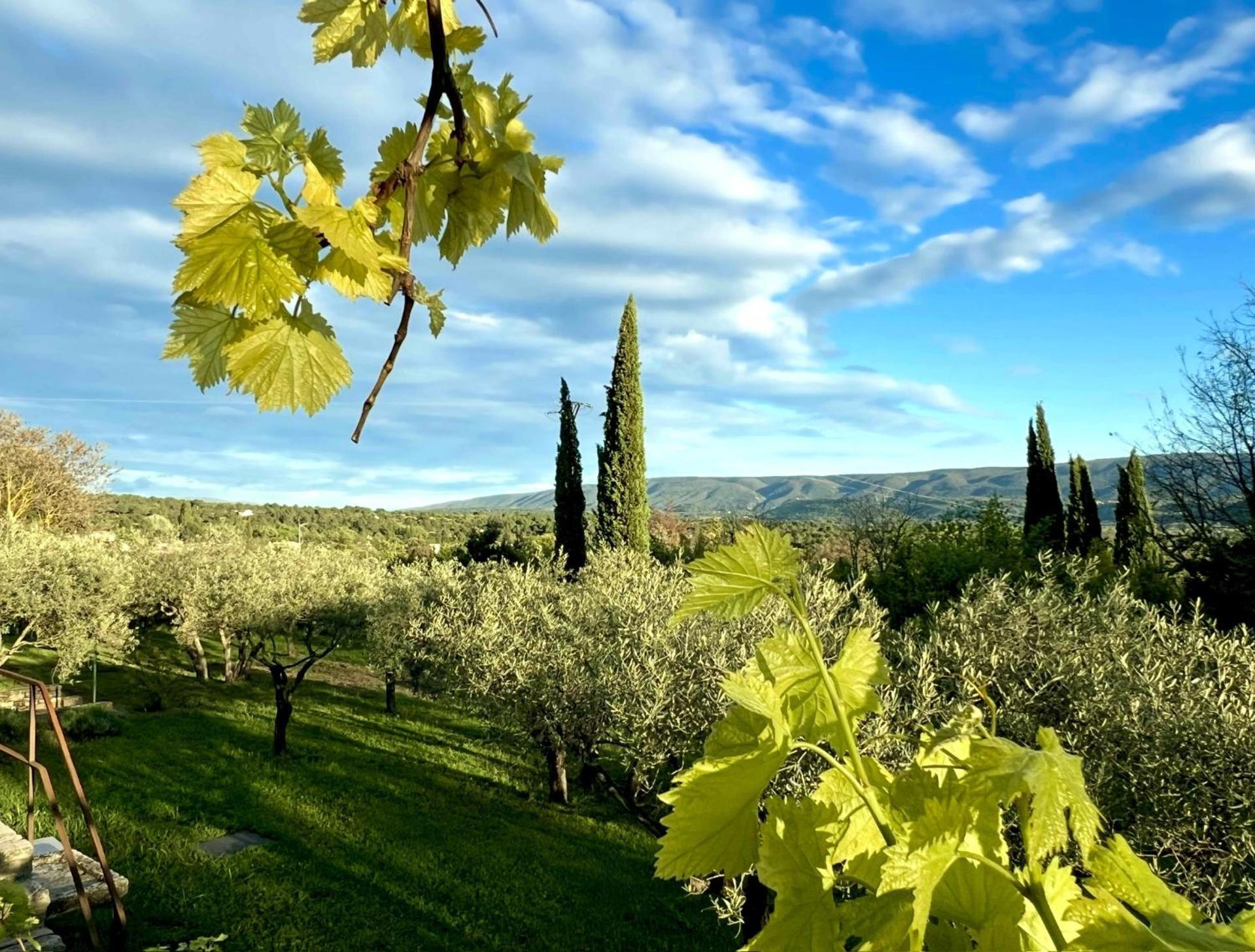 Bed and Breakfast Provence Km28 Gordes Exterior foto
