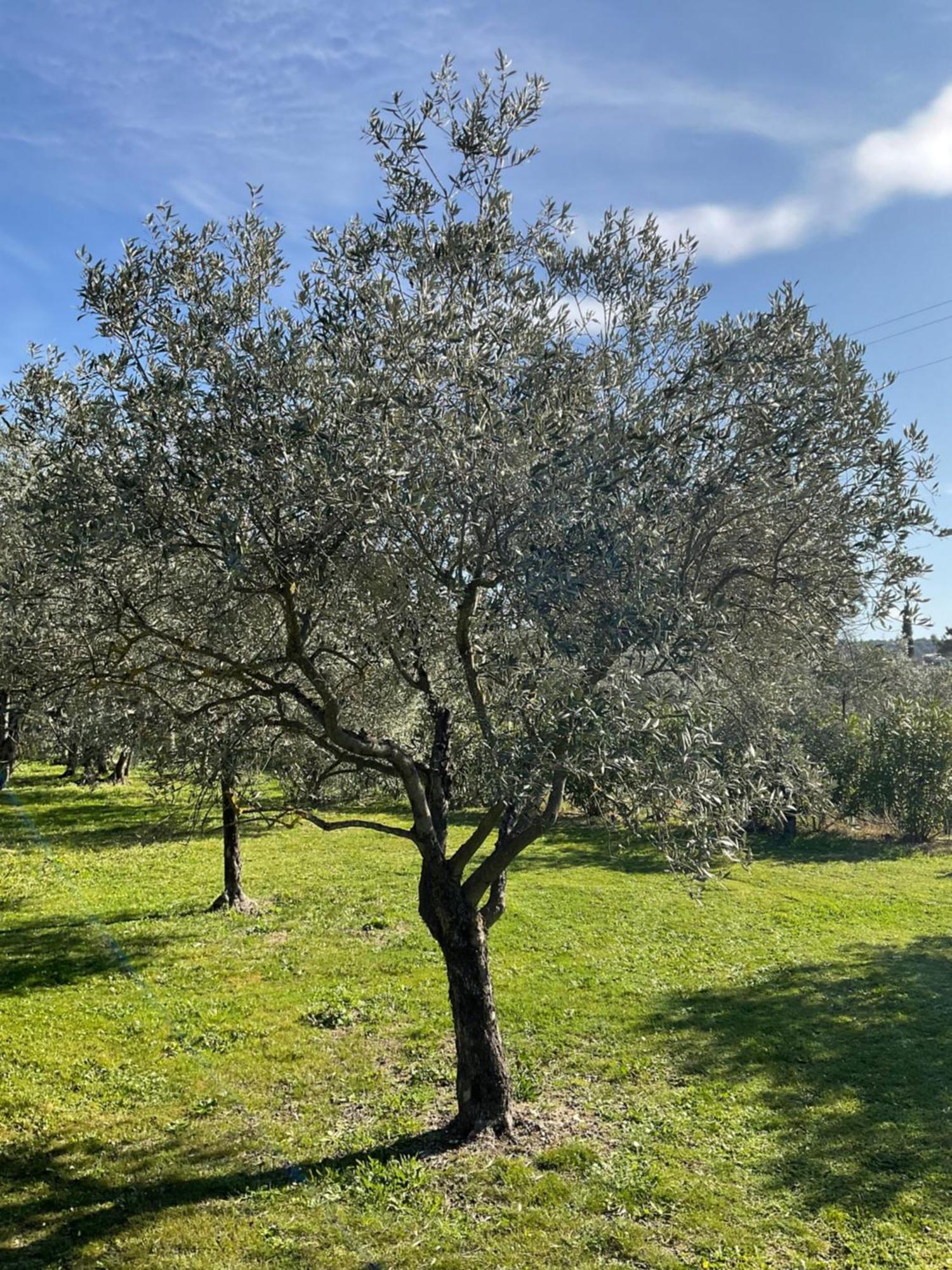 Bed and Breakfast Provence Km28 Gordes Exterior foto