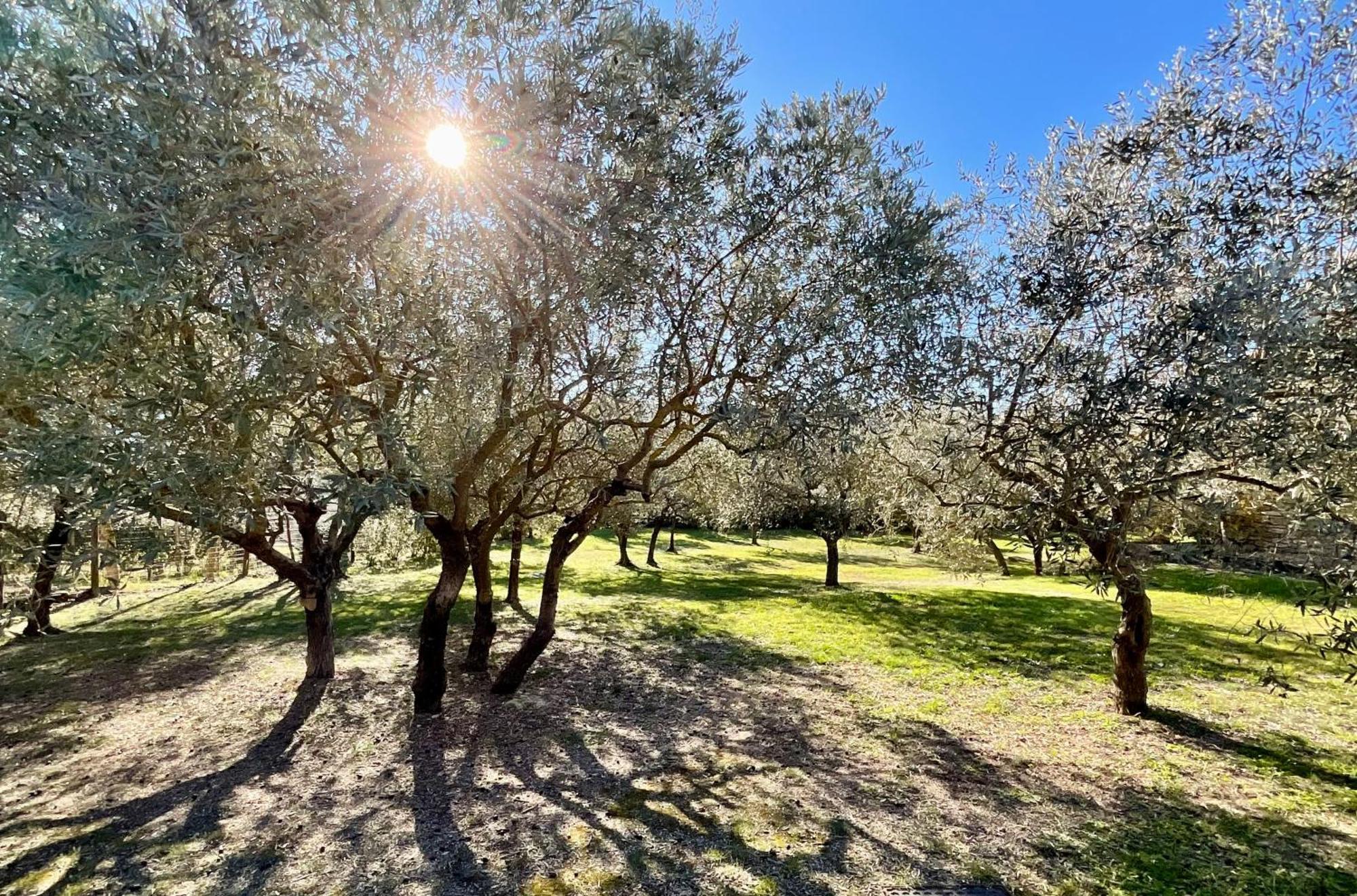 Bed and Breakfast Provence Km28 Gordes Exterior foto